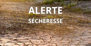 L'Ille et Vilaine placé en alerte sécheresse août 2025