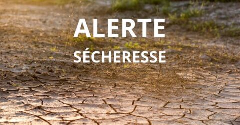 L'Ille et Vilaine placé en alerte sécheresse août 2025