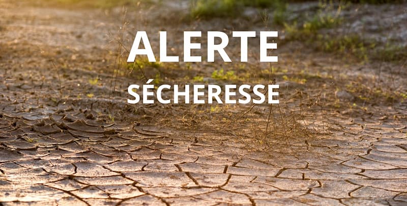 L'Ille et Vilaine placé en alerte sécheresse août 2025